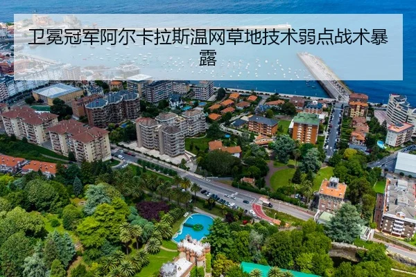 卫冕冠军阿尔卡拉斯温网草地技术弱点战术暴露