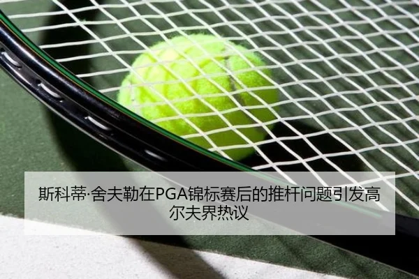 si-ke-di-she-fu-lei-zai-jin-biao-sai-hou-de-tui-gan-wen-ti-yin-fa-gao-er-fu-jie-re-yi-3-511.jpg