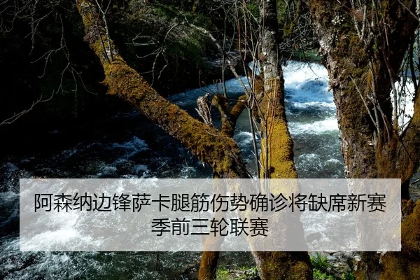 阿森纳边锋萨卡腿筋伤势确诊将缺席新赛季前三轮联赛