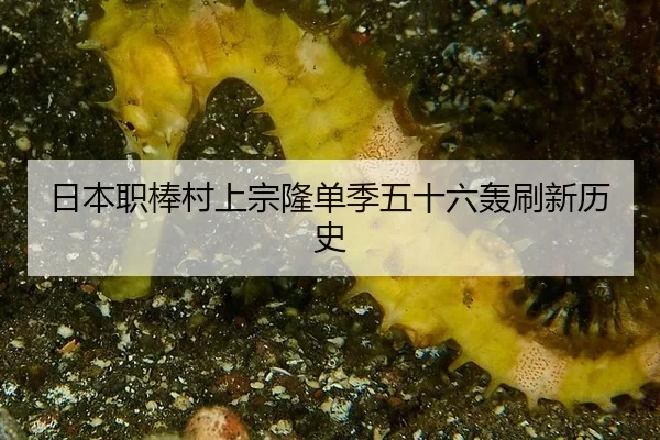 ri-ben-zhi-bang-cun-shang-zong-long-dan-ji-wu-shi-liu-hong-shua-xin-li-shi-2-875.jpg